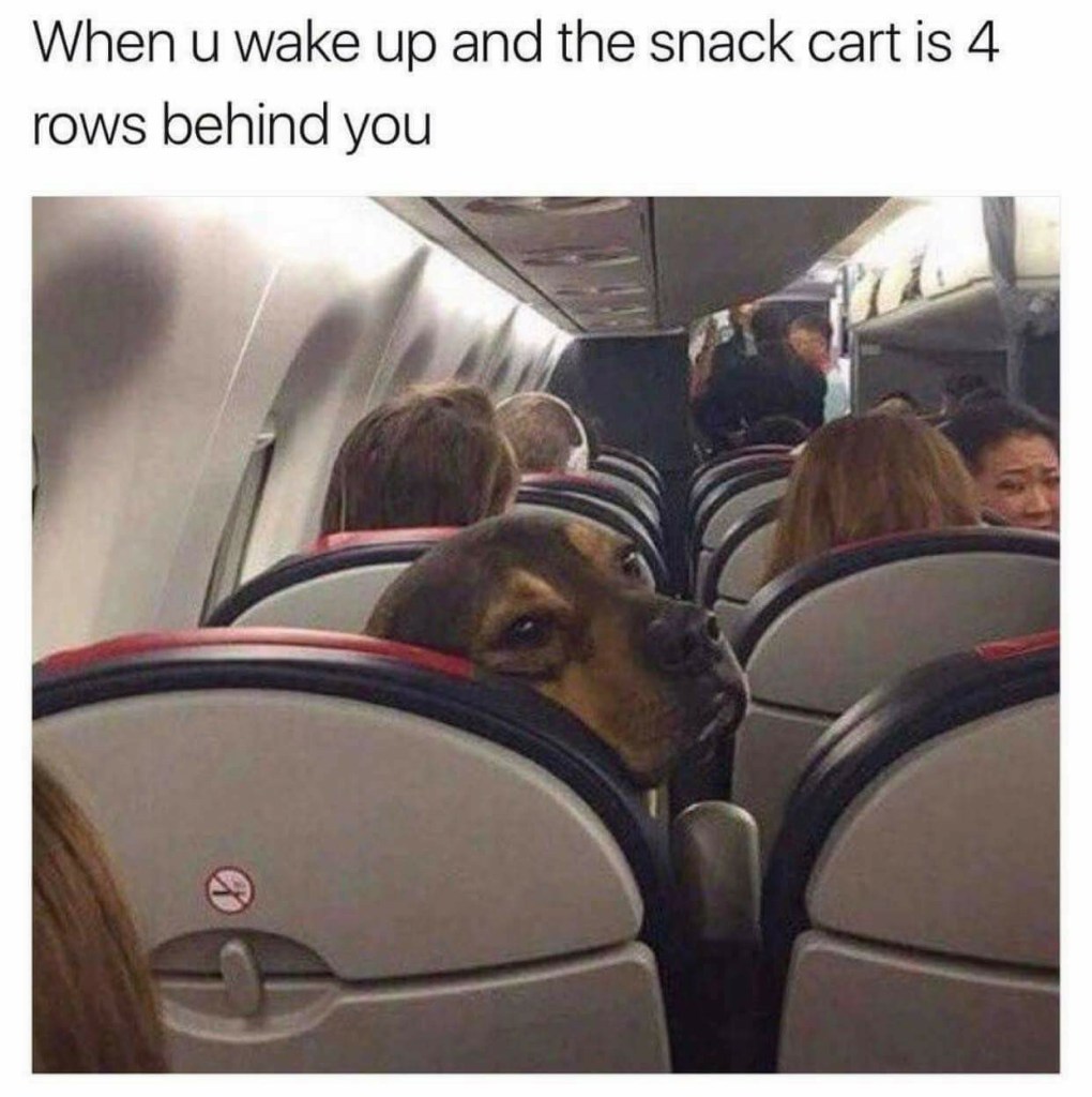 Travel Meme