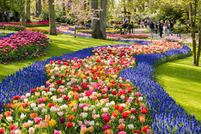 Keukenhof Gardens, Amsterdam