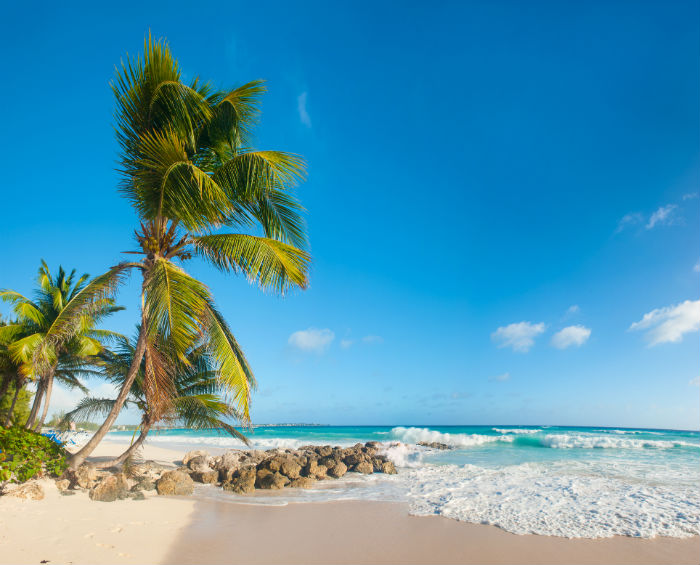 Beach In Barbados