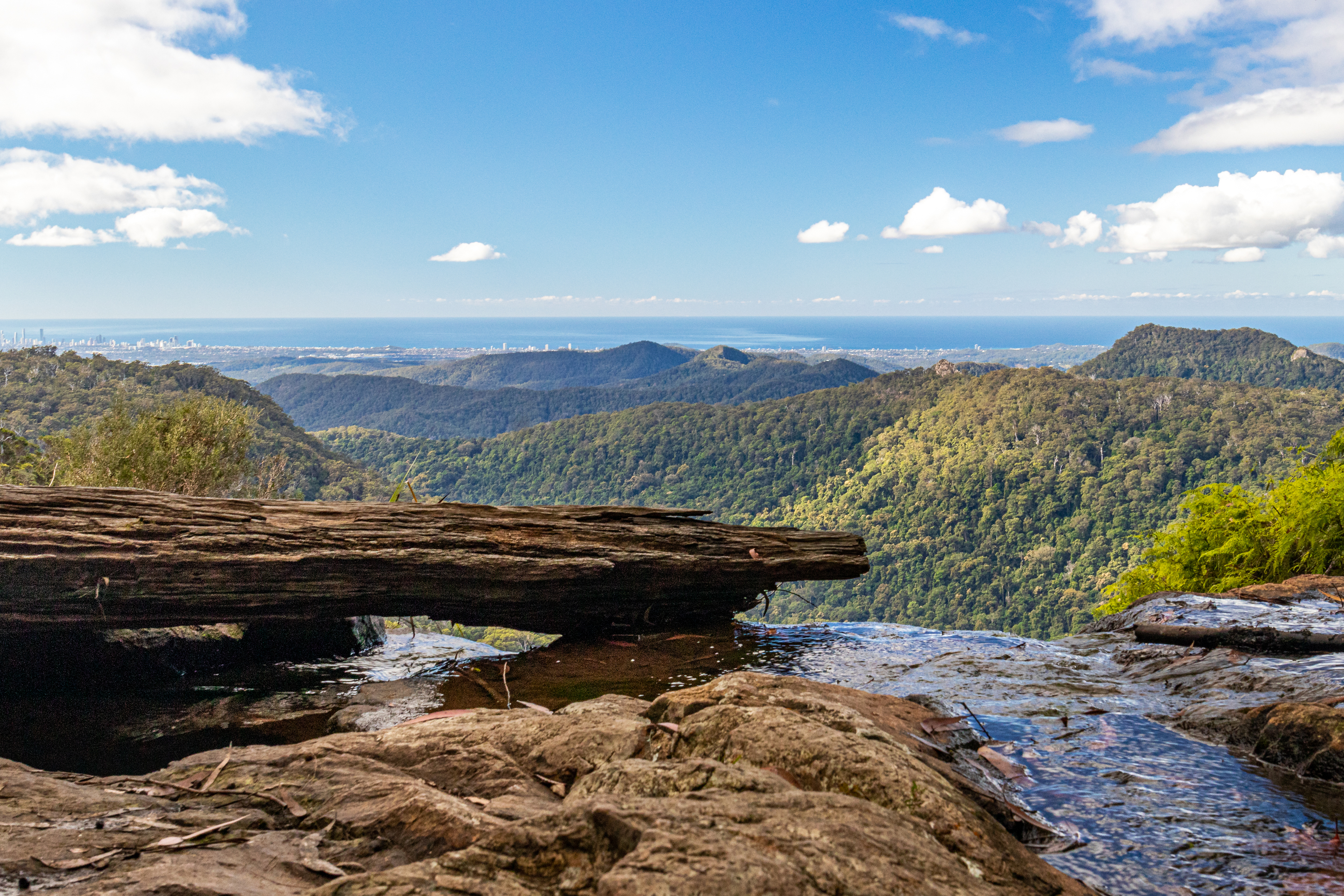 Picture of The Gold Coast Hinterland in Springbrook National Park

