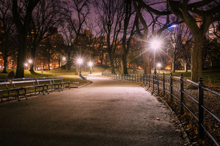 Eerie Central Park At Night