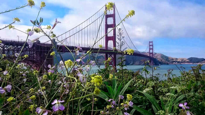 Bridge In San Francisco