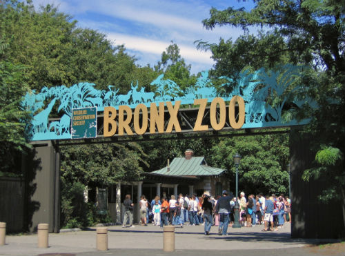 NY Bronx Zoo