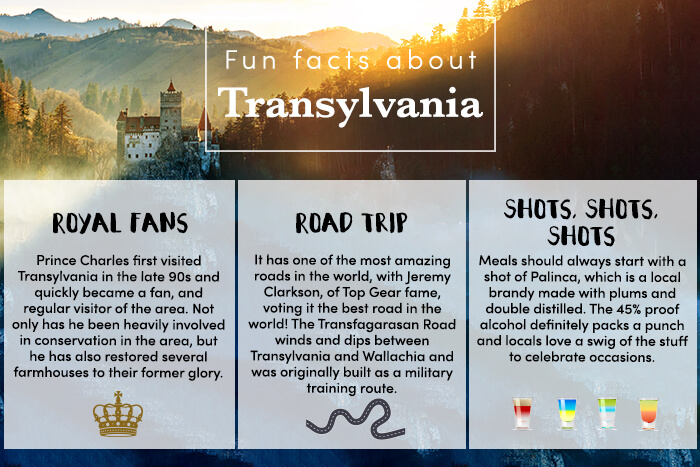 Fun Facts About Transylvania