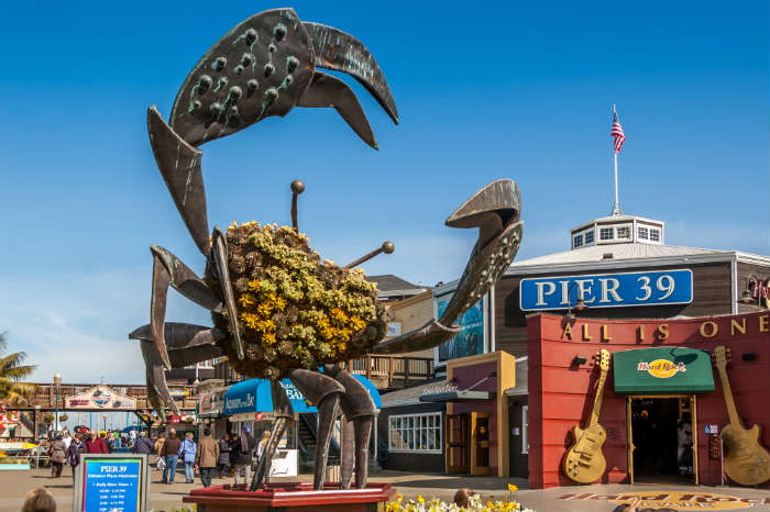 Things you need to do on a weekend in San Francisco - Eating good food at Pier 39