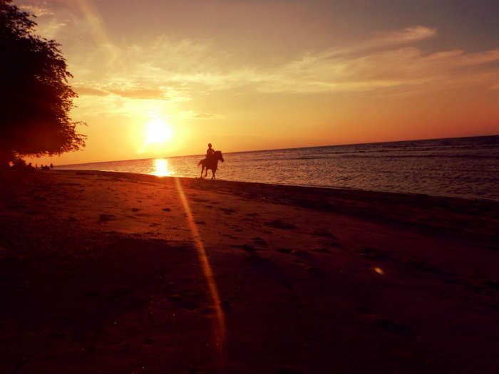 Bali Horse Riding on the Beach