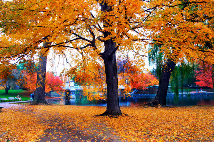 Boston city break in autumn