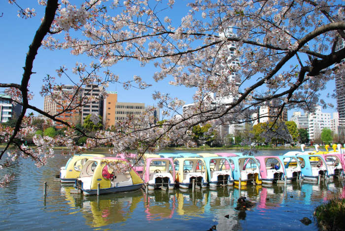 Best city parks-Ueno Park, Tokyo