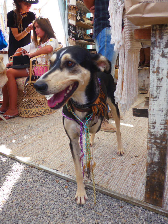 Las Dalias Hippy Market
