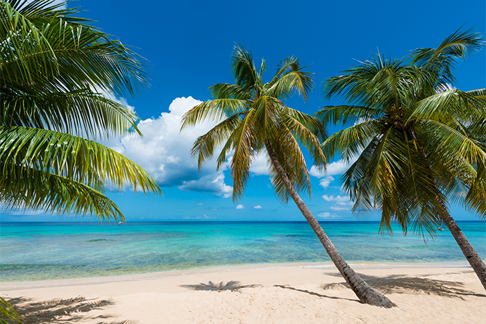 Barbados beach