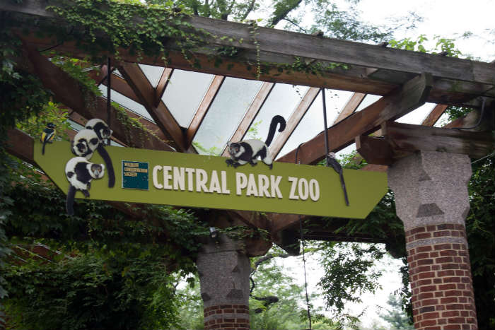 Central Park Zoo, New York