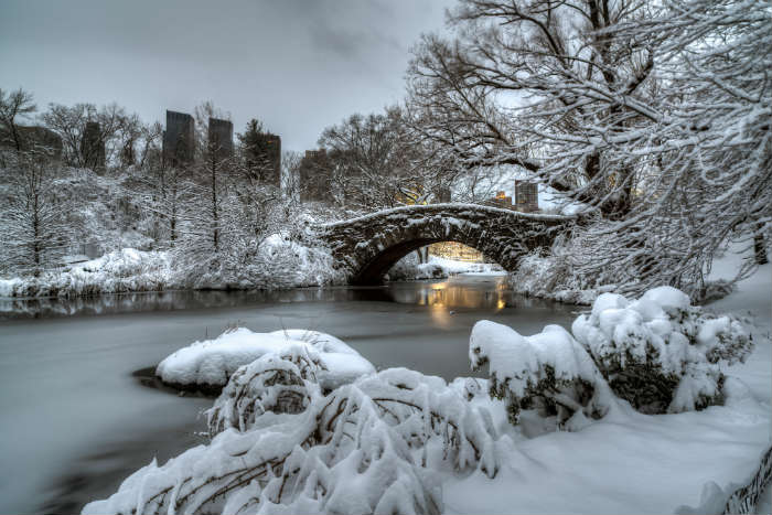 Winter in Central Park, New York