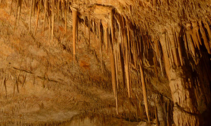 caves of drach, majorca