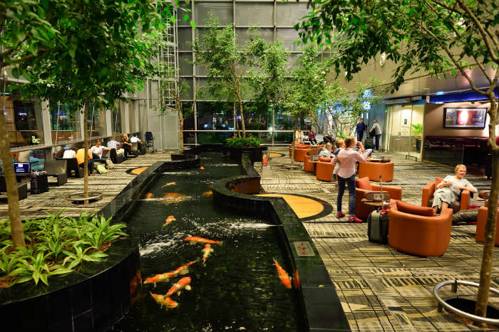 World's coolest airports - Changi